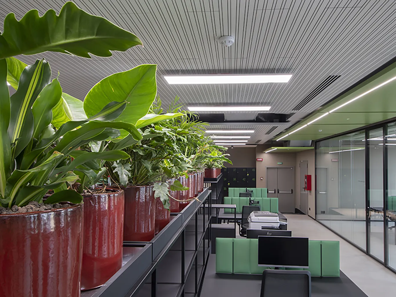 sound-absorbing-panels-elitech-group