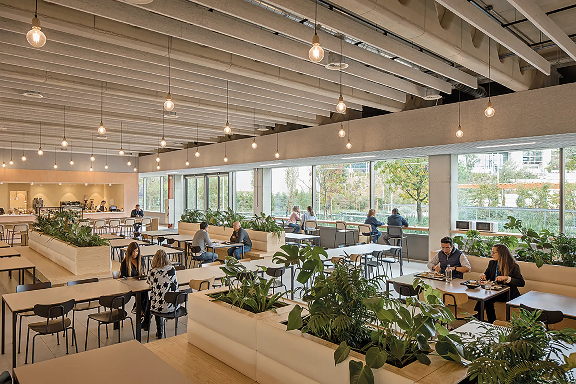 texfel-sound-absorbing-panels-1