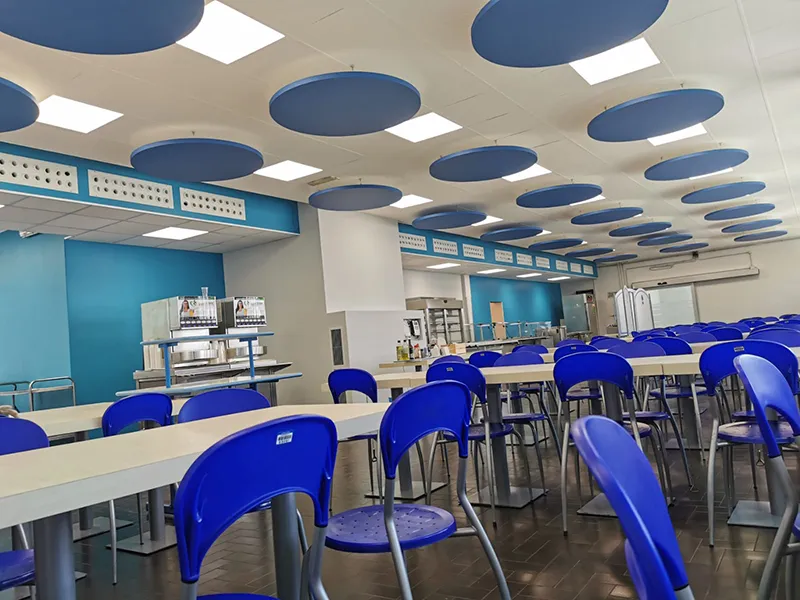 sound-absorbing-coverings-and-baffles